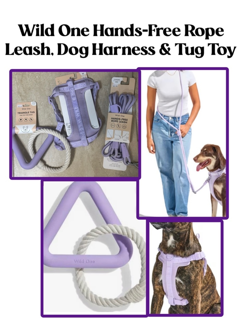 Wild One Hands-Free Rope Lilac Dog Leash and Wild One Lilac Dog Harness